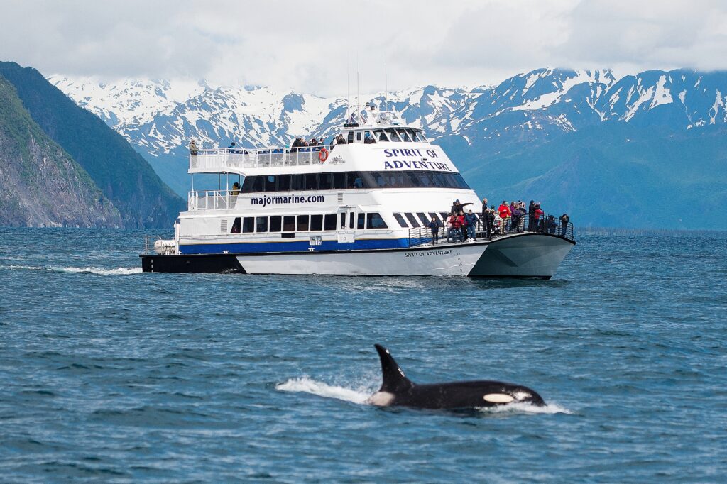 train tours of alaska